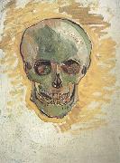 Vincent Van Gogh Skull (nn04) Spain oil painting artist